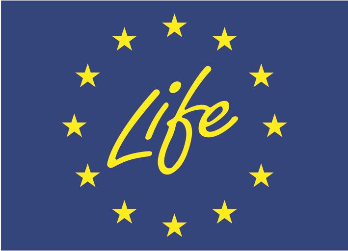 Projekteerimise registreeringud: Asukoht (L-Est 97) X 6469874 EP10171636-0001 Y 530781 MP0010-00
