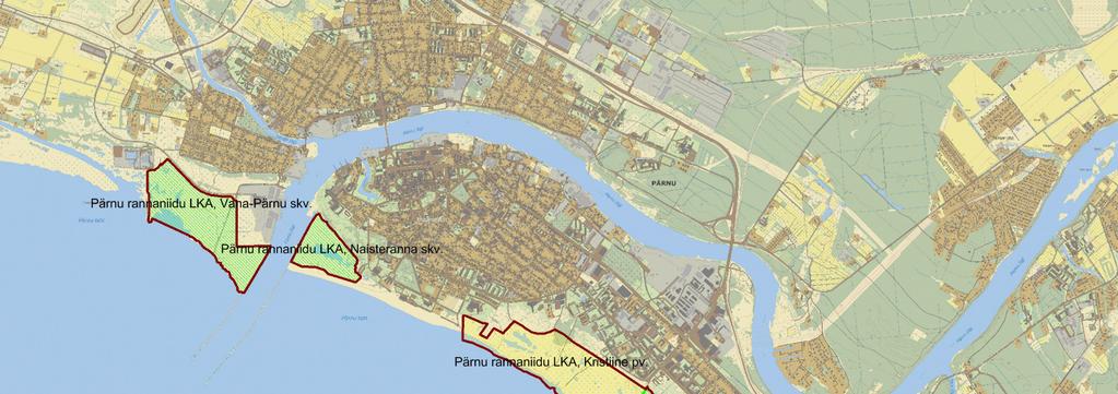 Pärnu rannaniidu rannikulõugaste