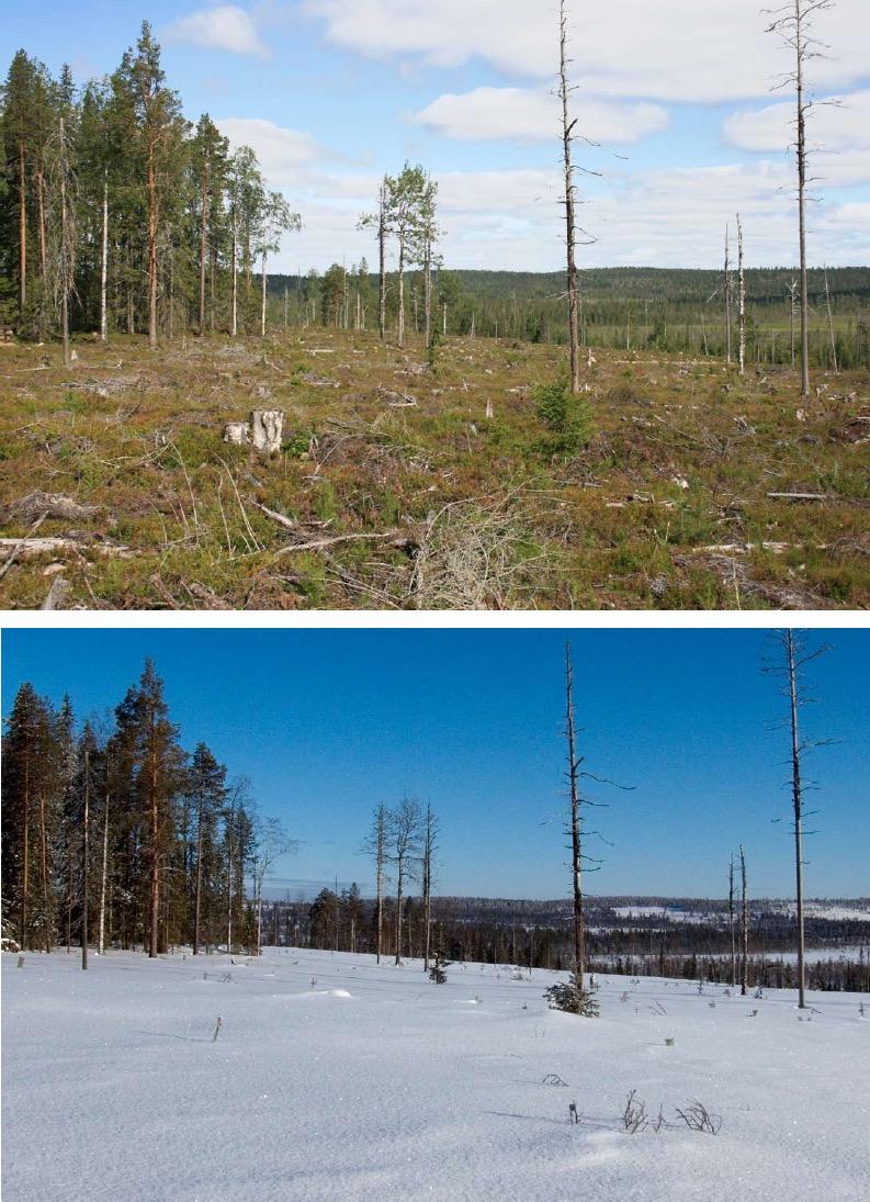 How well do these environments fit for your outdoor recreation needs and expectations in Lapland?