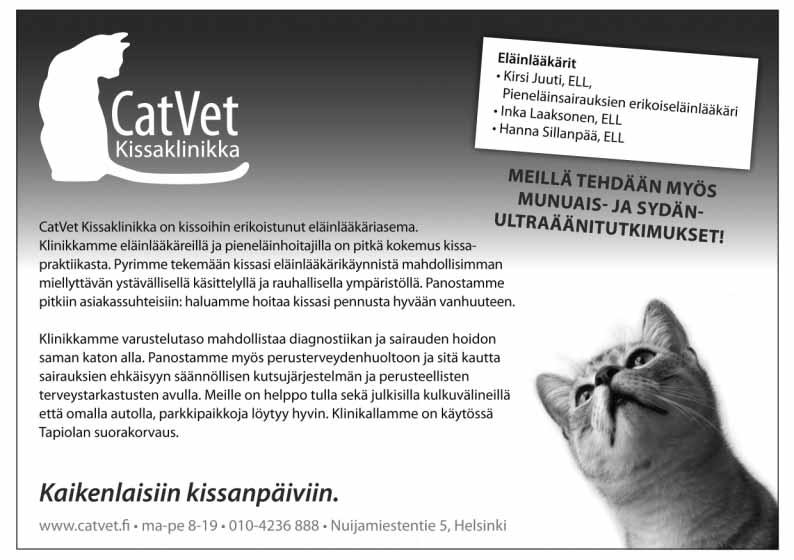 Nivelrikko kissan ongelmana Vasta viime vuosien aikana on alettu tiedostamaan, että nivelrikko aiheuttaa ongelmia vanhenevalla kissalla.