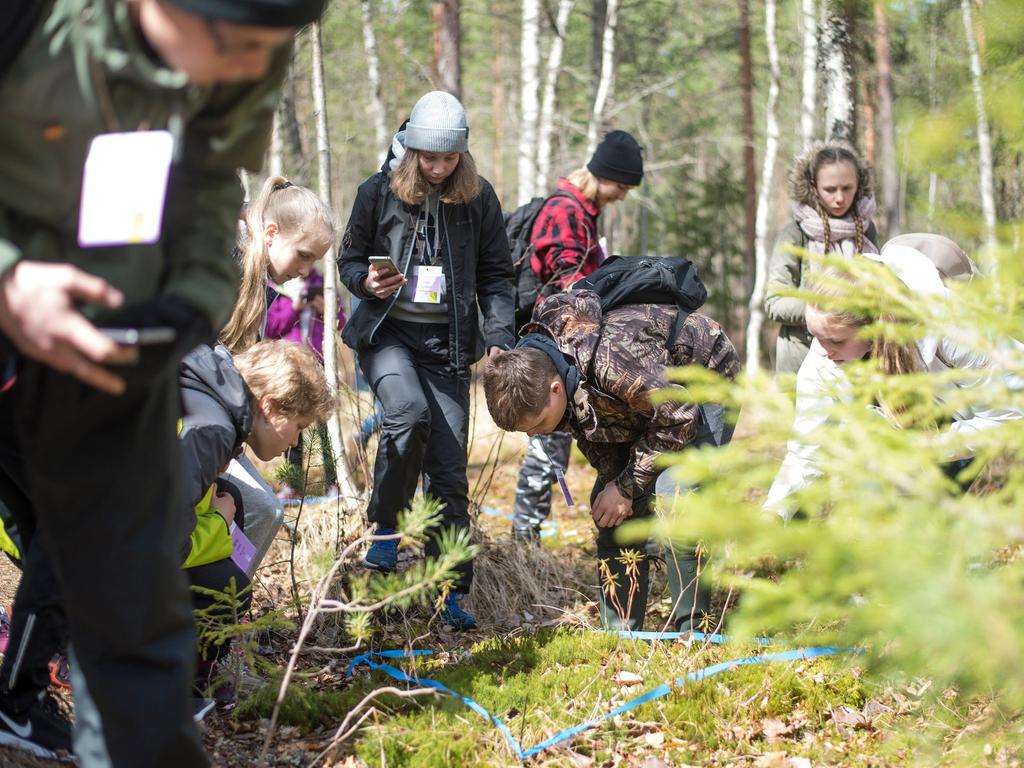 Metsävisaa tekee