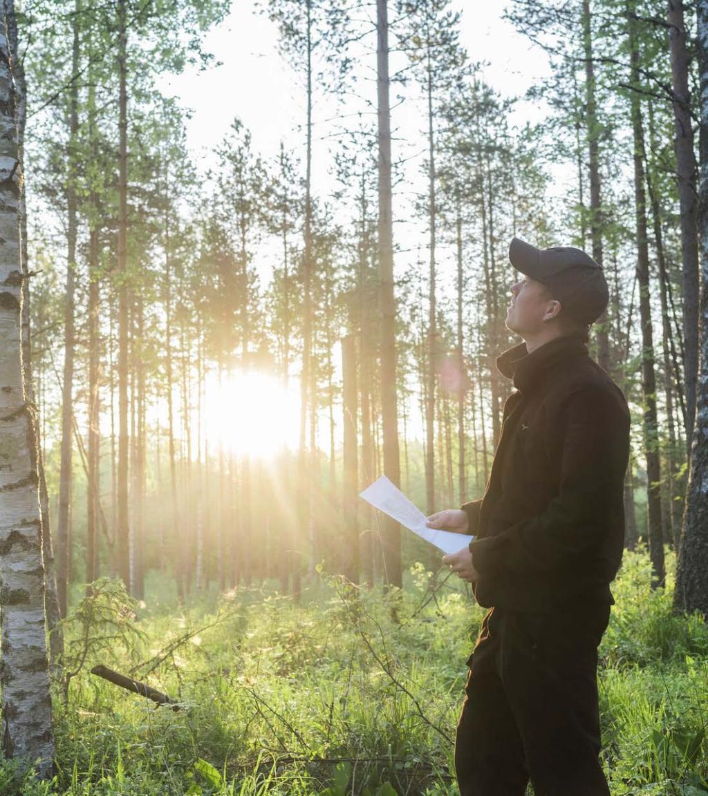 Metsä Groupin SPVasiantuntijat Käy läpi asiakkaan tarpeet ja odotukset aloituskokouksessa ja tekee sen jälkeen ehdotuksen eri vaihtoehdoista.