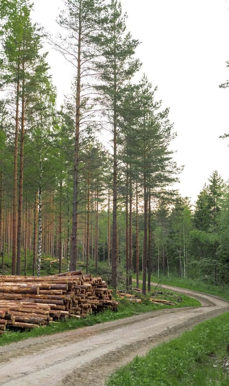 Käytännön metsävinkkejä SPVtilanteeseen Metsäsuunnitelma kannattaa pitää ajan tasalla. Helppo ja nopea tehdä tila-arvio = omaisuuden arvo. Käyttäkää sähköisiä palveluita hyödyksi.