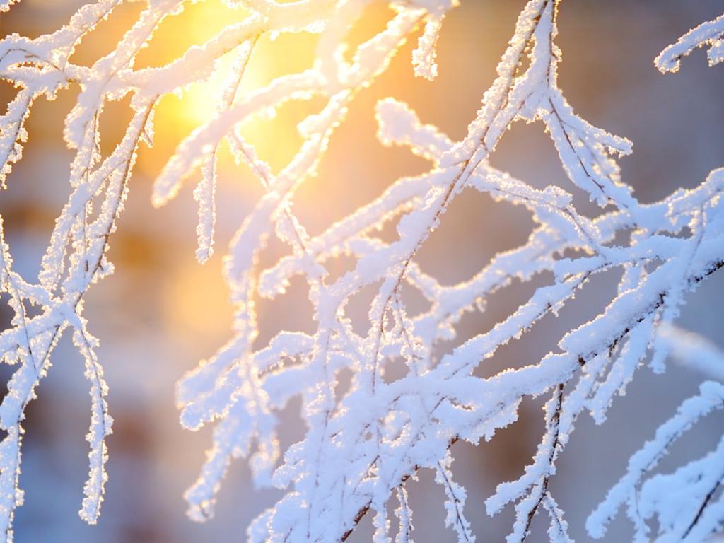 Etelä- ja Keski-Pohjanmaan metsäohjelma, toimenpiteiden