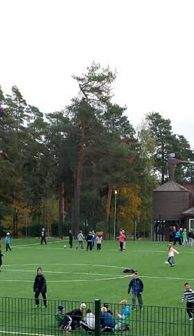 josta yksi loistava esimerkki on Koulunmäen lähiliikuntapaikka monipuolisine toimintoineen (mm.