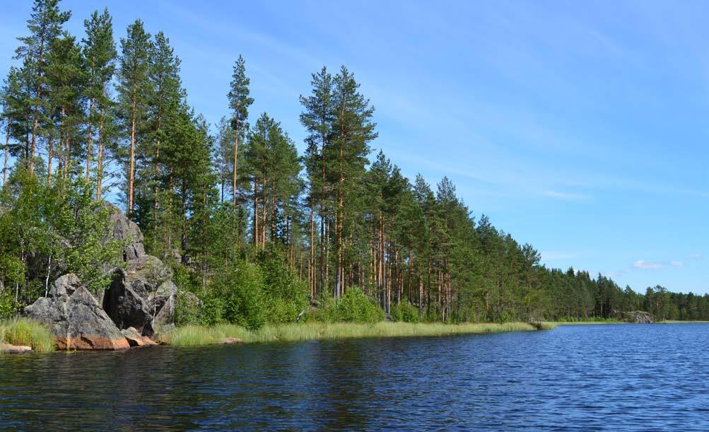 LAADITUT OSAYLEISKAAVAT Siikaisten rantayleiskaava (hyväksytty 3.1.