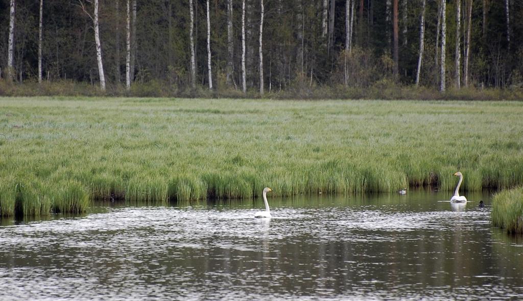 Alueen läpi kulkee kunnan vesi- ja viemäriverkosto, joten alue sopii hyvin asuntorakentamisen tarpeisiin.