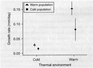 stenotermiset lajit Termoregulaatio "Behavioural