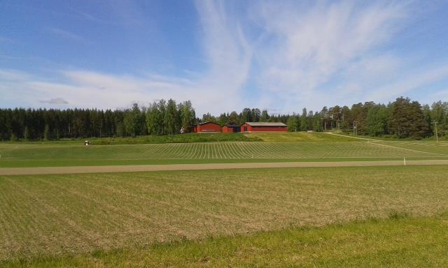 Kesäinen opintomatka Hauhon koetilalle 17.