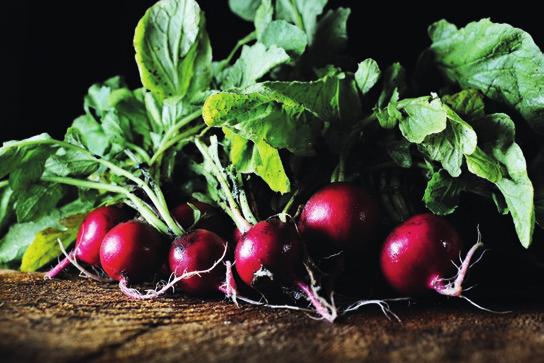 Huippulaatua kaikilla tasoilla, joka alkaa meistä itsestämme Me kehitämme, valmistamme ja markkinoimme laitteita