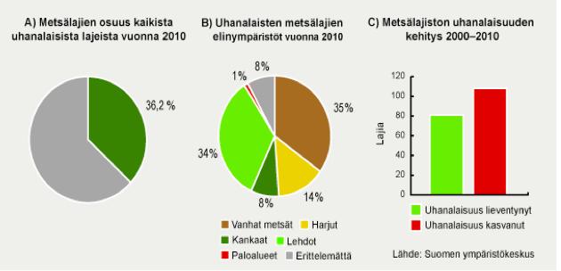 Mitä