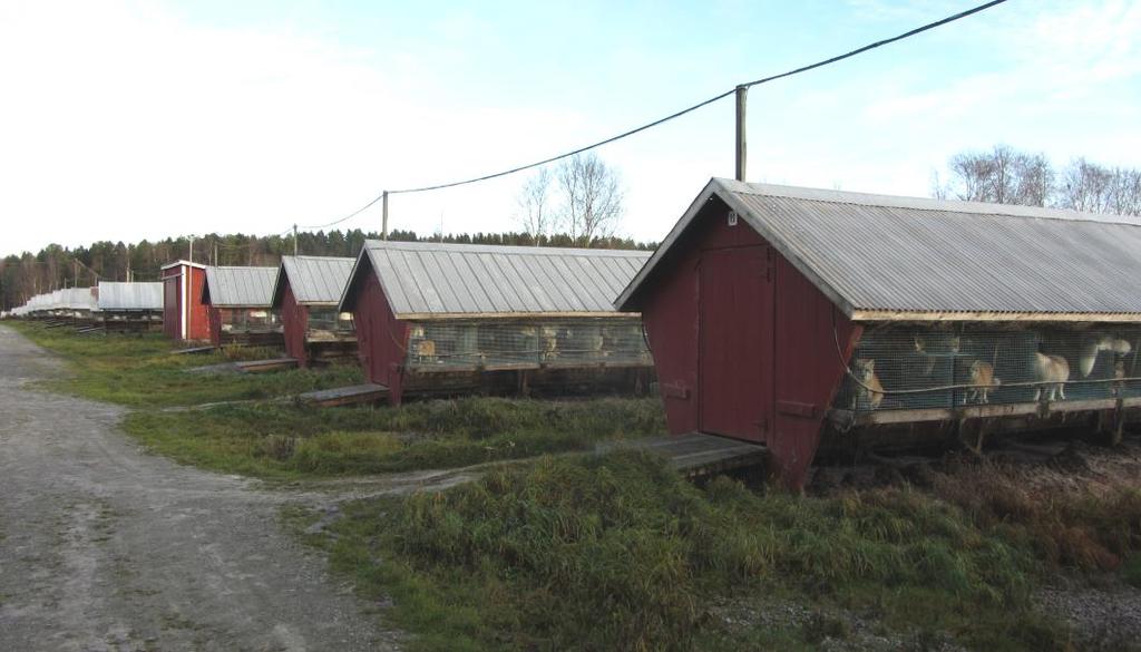 nahkontatila ja toimisto- ja sosiaalitilat. Vuosittainen työkierto alueella noudattaa tuotantoeläinten kehityskaarta.