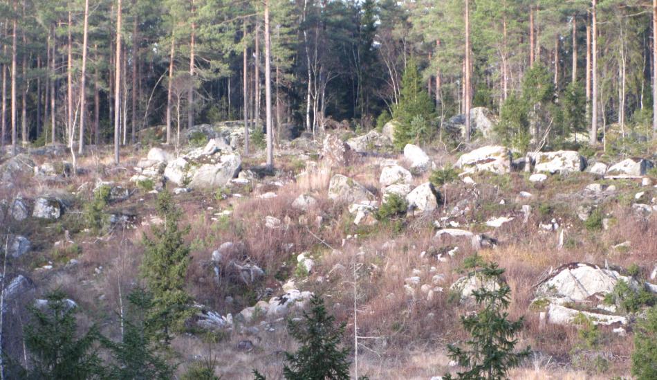 (Vöyri).