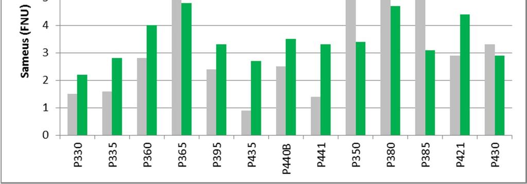 Yhteistarkkailusta vastaa Lounais-Suomen vesi- ja ympäristötutkimus Oy (LSVYT). Tuloksista nähdään, että myös leväpitoisuudet vaikuttavat meriveden sameuksiin muiden tekijöiden lisäksi.