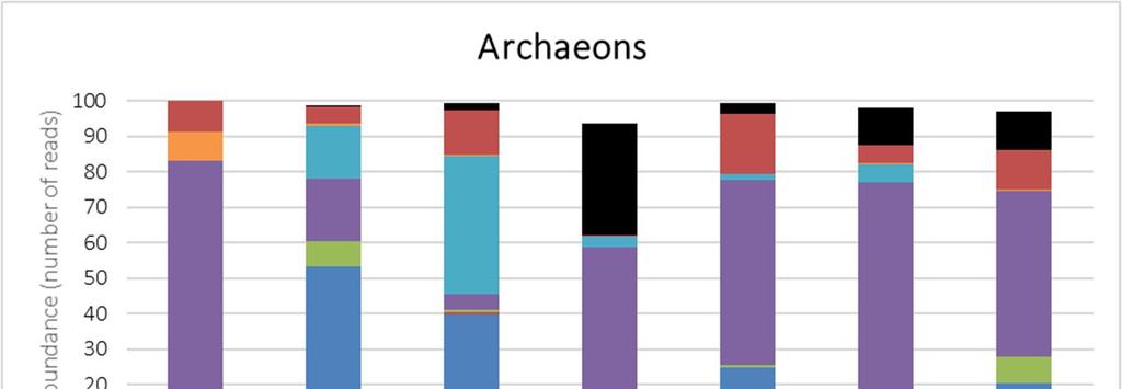 Metanogeenit Vetyä ja hiilidioksidia käyttävät metanogeenit (hydrogenotrofiset) dominoivat Asetaattia käyttäviä metanogeenejä