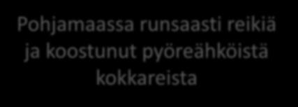 kokkareista => Hyvä