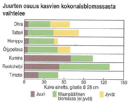 Syvä- ja laajajuurisilla kasveilla lisää hiiltä peltoon Lähde: