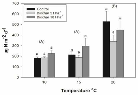 Biologinen typen sidonta Asetyleenin pelkistysmenetelmä