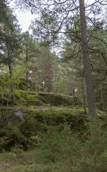 Rastilippua on kehitelty vuosi ja palvelu on tätä kirjoitettaessa testivaiheessa. Palvelun on tarkoitus olla käytössä huhtikuussa, kun kuntorastikausi käynnistyy.