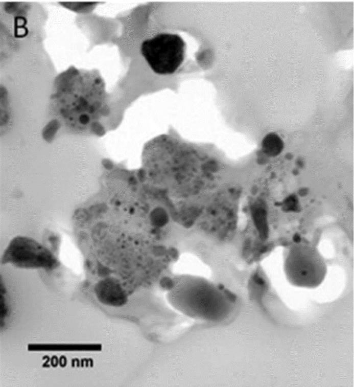 (2011) mittasivat GEMS-rakeiden O/Si-, Mg/Si-, Al/Si-, S/Si-, Ca/Si-, Fe/Si- ja Ni/Si-suhteita. Keskimäärin Mg-, S-, Ca-, Fe- ja Ni-pitoisuudet olivat suhteessa Si:n määrään n.