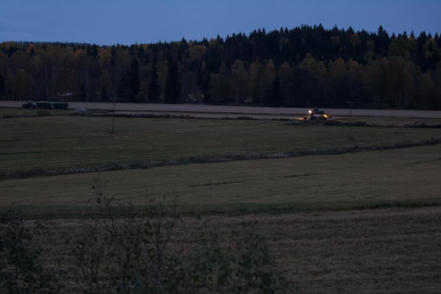 Kaivataan esitettä, jossa olisi yhdistetty tietoa arktisista hanhista ja niiden käyttäytymisestä, esto- ja karkottamiskeinoista sekä viranomaistieto mahdollisista tukimuodoista.