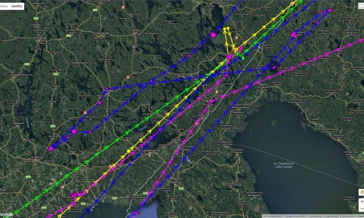 Kuva 5 ja 6. Talvella 2016/17 satelliittilähettimillä varustettujen valkoposkihanhien paikannuspisteet ja niiden väliset vektoriviivat keväällä 2017 Suomessa.