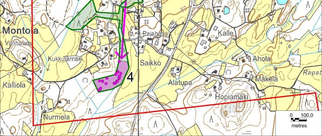 Liito-orava on uhanalainen, vaarantuneeksi (VU) arvioitu laji ja luontodirektiivin liitteen IV(a) laji.