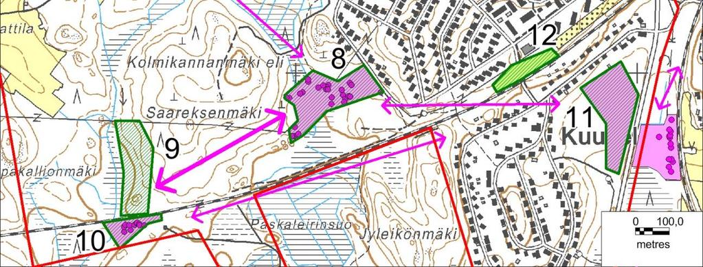 Toisella puolella Vaalimaantien oli asuttu liito-oravan esiintymä sekä vuonna 2010 (Kuitunen 2010) että vuonna 2013.