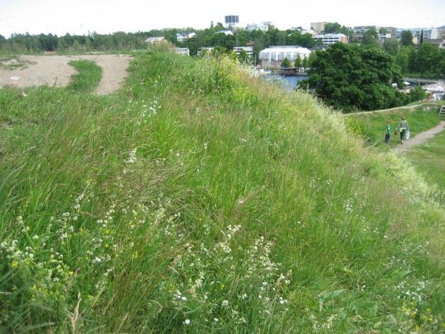 Tietoja Linnoituksen kasvien historiasta on koottu Vallien valtiaat hullukaalista harmioon -esitteeseen (Tiainen 2009) ja luontopolkuesitteeseen (http://www3.lappeenranta.