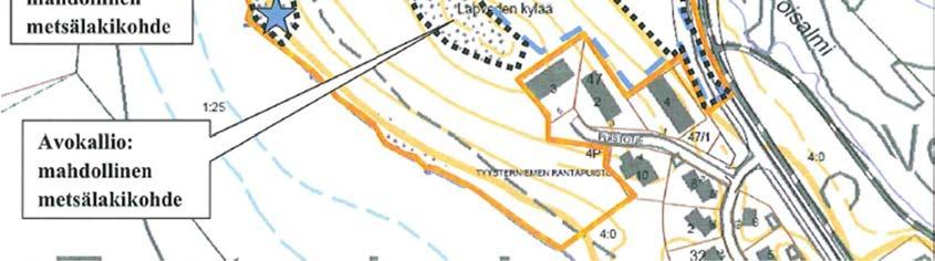 Kohteen arvo: Alueella on metsälain (10 ) erityisen tärkeisiin elinympäristöihin kuuluva