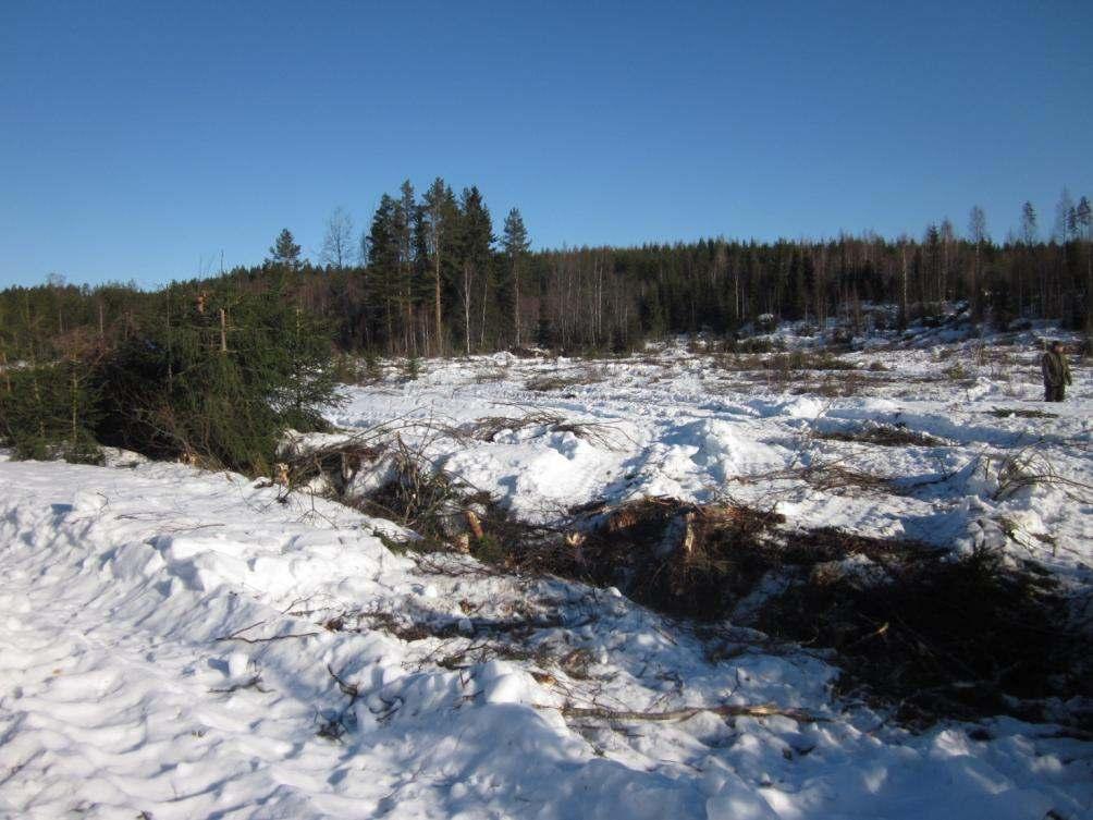 13 3.6 Puuston ja kasvillisuuden käsittely kosteikon lähiympäristössä Vesilinnut hyötyvät ympäristön avoimuudesta, joten kohteella toteutettua energiapuuhakkuuta lähdettiin suunnittelemaan näistä