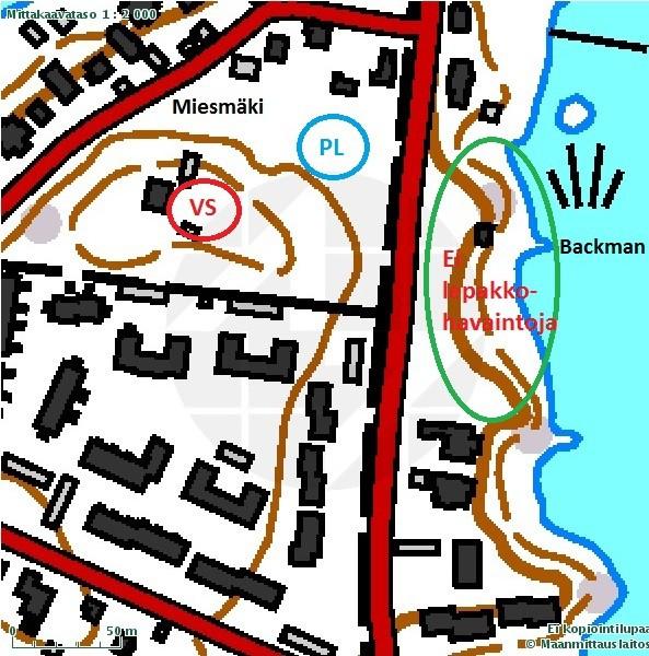 10 Kartta 1. Miesmäenpuiston ja Backmaninpuyiston lepakkohavaintopaikat. VS = viiksi/isoviiksisiippa ja PL = pohjanlepakko. 3.2.