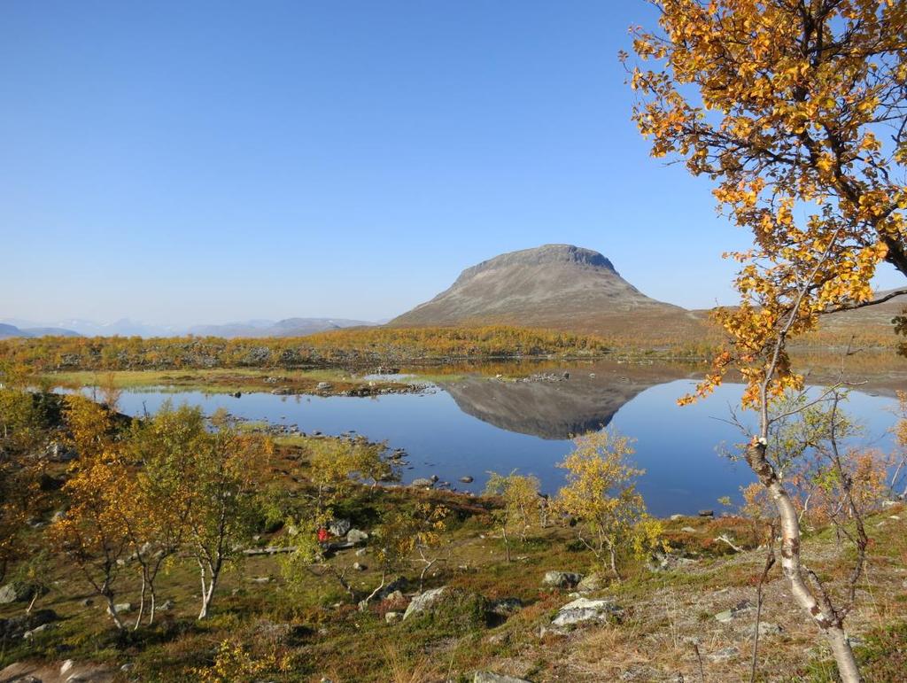 Vastaanottaja Enontekiön kunta Asiakirjatyyppi Natura-arvioinnin tarveharkinta Päivämäärä