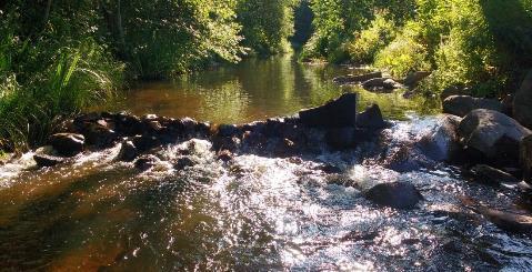 Kuva 16. Luvaton kivistä koottu pato Alisenkosken alapuolella. Kuva 17. Lapinjoen alin pato ja ensimmäinen vaelluseste mereltä päin sijaitsee noin 1 km Alisenkosken alapuolella.