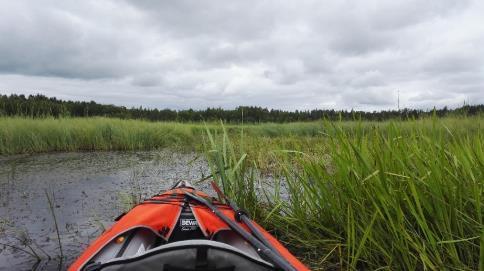 3 Havainnot 3.1. Pääuoman yleiskuvaus 3.1.1. Yläosa (Koskeljärvi Hinnerjoki) Hinnerjoki-Lapinjoen pääuoma kulkee usean lähes umpeenkasvaneen järven läpi muodostaen omanlaisensa järviketjun.