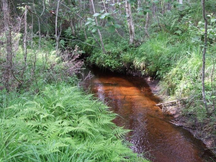 13 Kuva 2-9. Tömisojan varsi (vasen ylhäällä), Huuskonnevan pohjoisosa (oikea ylhäällä). Kalliota hakkulla Vanhanhaudannevan eteläpuolella (alin kuva) 2.