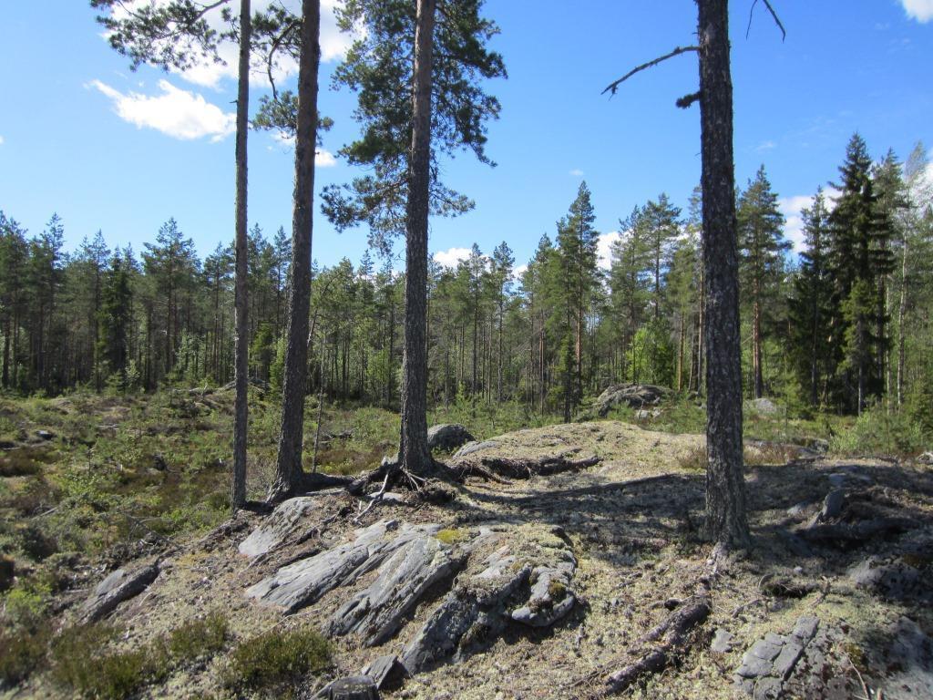 Lisäksi on arvioitu hankkeen vaikutukset luonnon monimuotoisuuteen ja alueen pirstoutumiseen. Vaikutusten arviointiin ei liity epävarmuuksia.