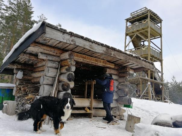 58 SUOMENNIEMI Painalluksen laavu Sijainti: Painalluksenmäki, Suomenniemi. Valtatie 13:lta käännytään Suomenniemelle (Kirkonkyläntie).