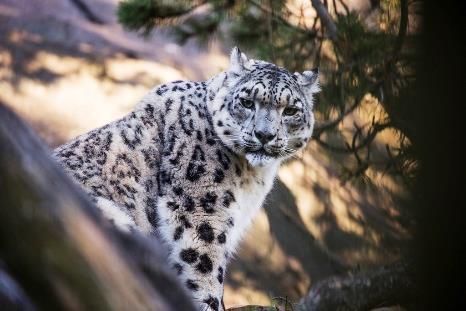 Lähtö tapahtuu Hyvän Paimenen kirkolta tiistaina 19.6. klo 9 ja paluu samaan paikkaan noin klo 16. Kuljemme julkisilla kulkuneuvoilla.