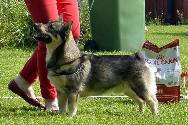 Tarja Laaksonen ja Kirsi