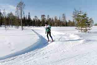 voitti D60-sarjan suomenmestaruuden Mikkelissä 26.8.2018 järjestetyissä pitkän matkan SM-kisoissa. Annen sarjaan osallistui 43 kilpasiskoa.