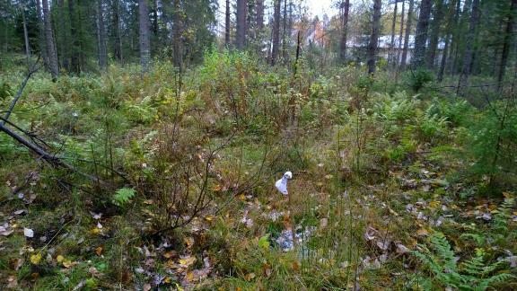 Perimätiedon mukaan lähde on aikoinaan ollut avoin, kiehuva ja reunoiltaan jyrkähköt.