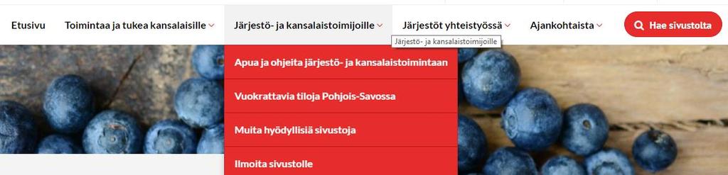 TEEMASIVUT Sivustolta voi etsiä yhdistyksiä, tapahtumia ja toimintaa teemoittain.