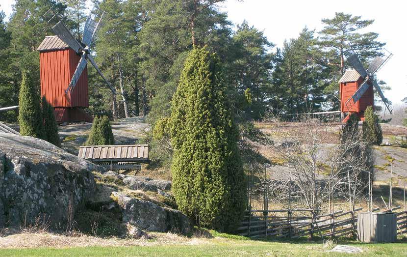 VISIO Parhaat palveluratkaisut Rakennuslaitos toimii puolustushallinnon ja muiden sidosryhmien asiantuntijaorganisaationa: kokonaistaloudellisesti tehokkaimmat kiinteistöjen ylläpito- ja