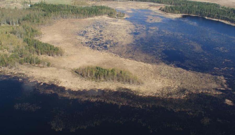 Kuva 7. Koivulahti, esimerkki erittäin huonosti rakentamiseen soveltuvasta rannasta Kuva 8.