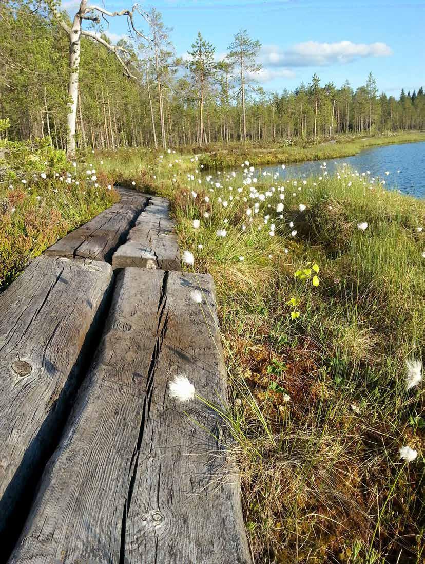 2018 Mediahinnasto Kainuun Sanomat www.kainuunsanomat.