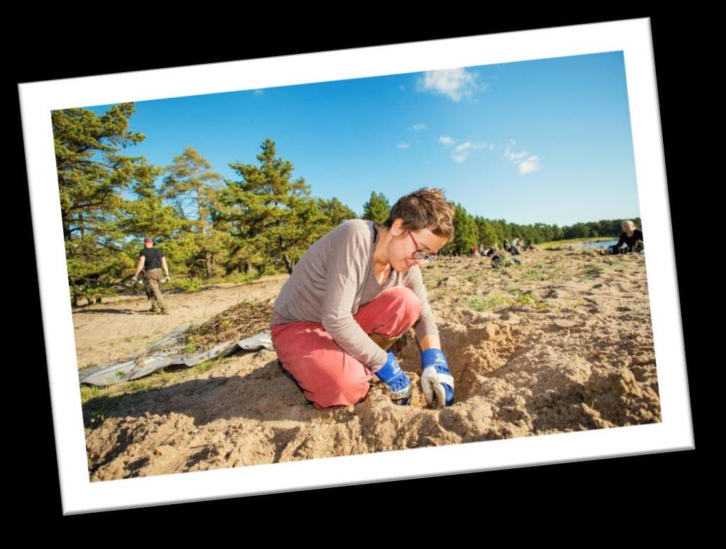 Terve askel luontoon hanke STEA:n tukeman, Allergia-, iho- ja astmaliiton ja WWF:n yhteisen kolmivuotisen (2017-2019) hankkeen tavoitteena on lisätä luontoaktiivisuutta tehdä luonnon