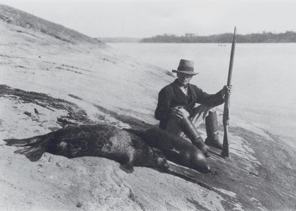 Kuva 1. Hylkeenpyytäjä Wiktor Kärkkäinen aseineen ja saaliineen Saimaan Joutenvedellä vuonna 1934.