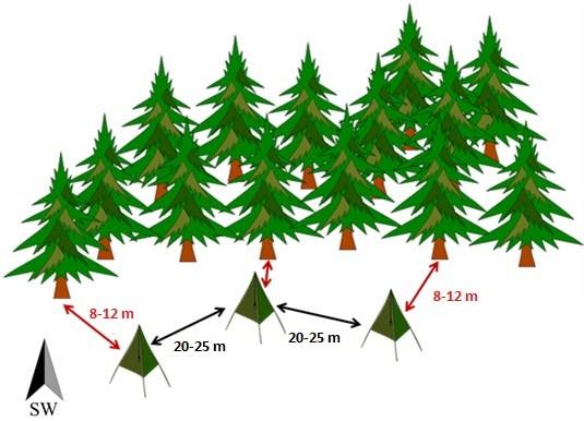 17 Kuva 4. Trinet-feromonipyydysten pystytysohjeistus (Trinet-P myyntipäällyksen teksti 2015). 2.3 