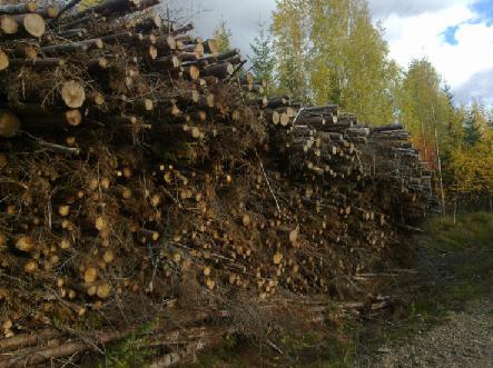 2008) -LCA Tool for forest production (e.g. Kilpeläinen et al. 2011, Baul et al.